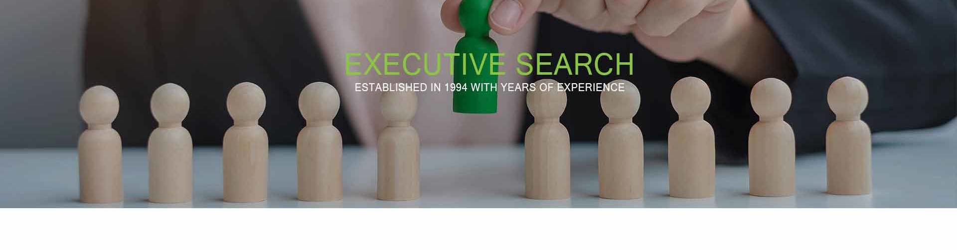 Headhunters Executive Search